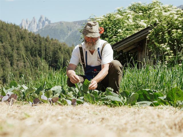 Foto für Slow Food Travel - Auf den Spuren der Bergbauern